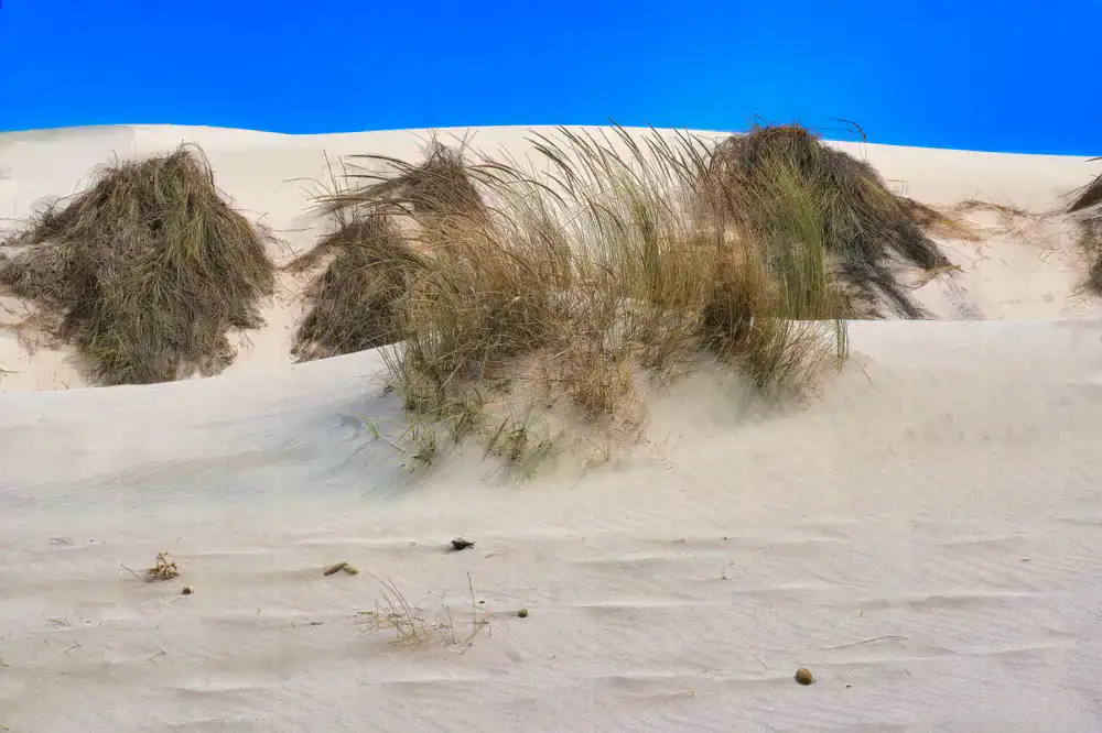 Small containers of sand, grass tufts, and textured basing materials